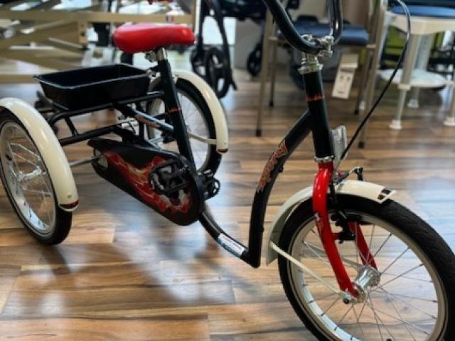 TRICYCLE SPORTY VERMEIREN 